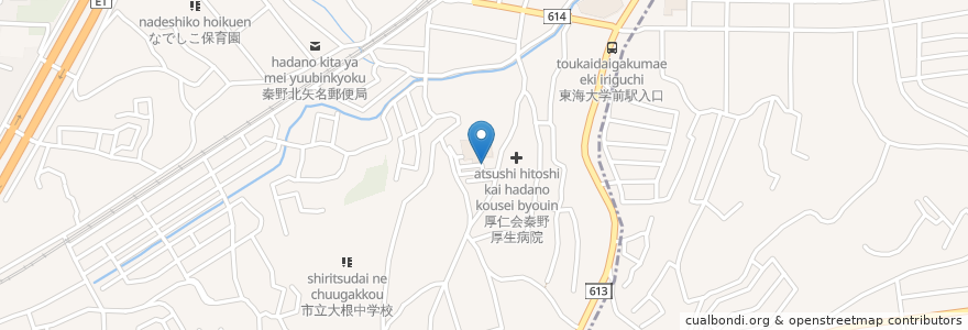 Mapa de ubicacion de 秦野天然温泉;さざんか en 日本, 神奈川県, 秦野市.
