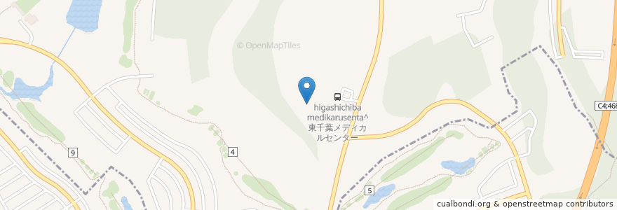 Mapa de ubicacion de 東千葉メディカルセンター en اليابان, 千葉県, 大網白里市.