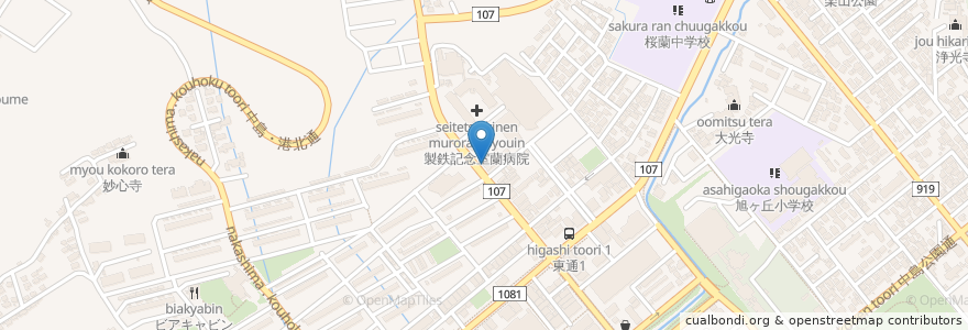 Mapa de ubicacion de ちりべつ 薬局 en اليابان, محافظة هوكايدو, 胆振総合振興局, 室蘭市.