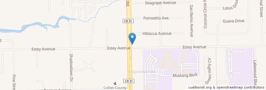 Mapa de ubicacion de 7-Eleven en ایالات متحده آمریکا, فلوریدا, Collier County.