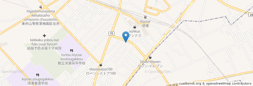 Mapa de ubicacion de 岩田皮膚科クリニック en Japan, Tokio.