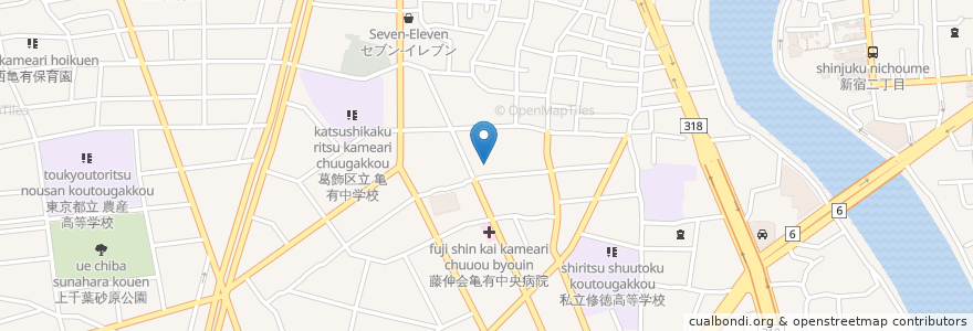 Mapa de ubicacion de 葛飾リハビリテーション病院 en Япония, Токио, Кацусика.