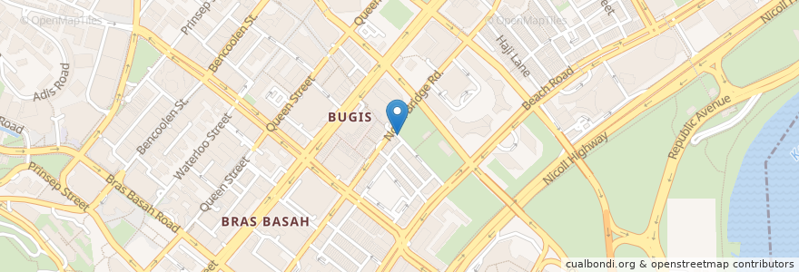 Mapa de ubicacion de BlueSG en Singapura, Central.
