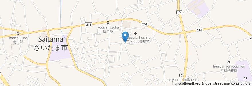 Mapa de ubicacion de 南斗クリニック en 일본, 사이타마현, さいたま市, 見沼区.
