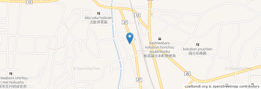 Mapa de ubicacion de 餃子の王将 en 日本, 大阪府, 柏原市.