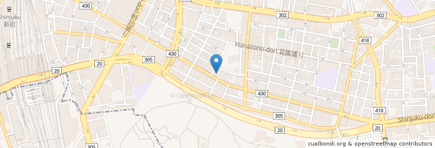 Mapa de ubicacion de スギ薬局 en 일본, 도쿄도, 신주쿠.