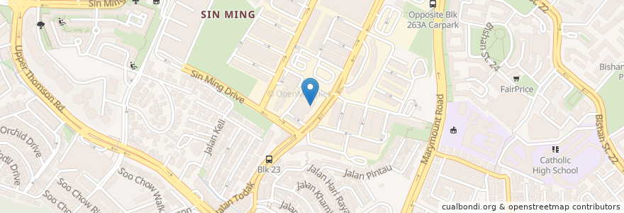 Mapa de ubicacion de Evergreen Rent A Car Pte. Ltd. en Singapore, Central.
