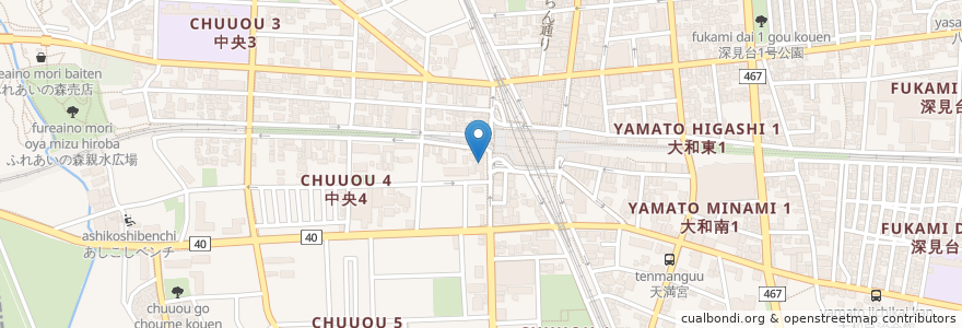Mapa de ubicacion de ひらの歯科医院 en 日本, 神奈川縣, 大和市.
