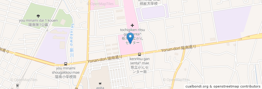 Mapa de ubicacion de 栃木県立がんセンター en 日本, 栃木県, 宇都宮市.