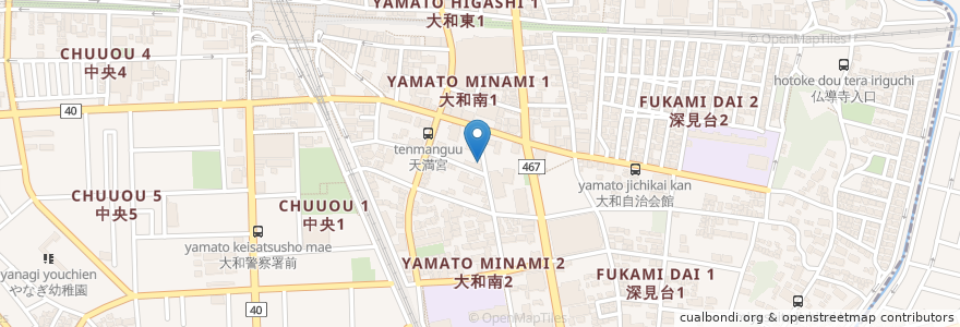 Mapa de ubicacion de 大和南眼科 en Japan, Präfektur Kanagawa, 大和市.