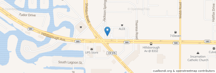 Mapa de ubicacion de CVS en Stati Uniti D'America, Florida, Hillsborough County.