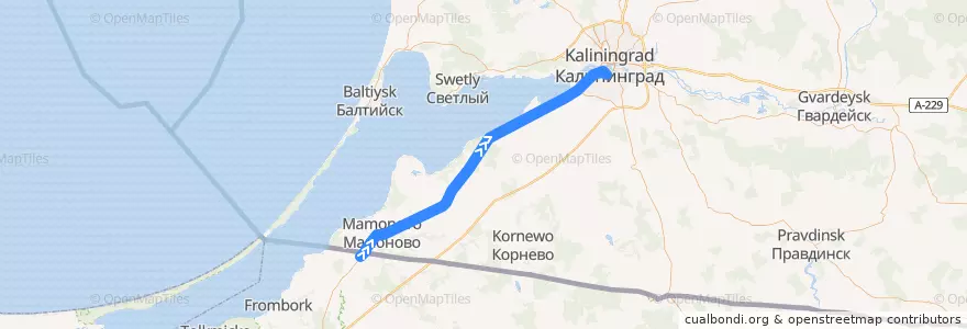 Mapa del recorrido Flixbus K1299: Danzig, Flughafen => Kaliningrad, Busbahnhof de la línea  en Óblast de Kaliningrado.