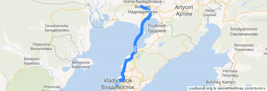 Mapa del recorrido Автобус 111: Ж/д вокзал — Станция Надеждинская de la línea  en Приморский край.