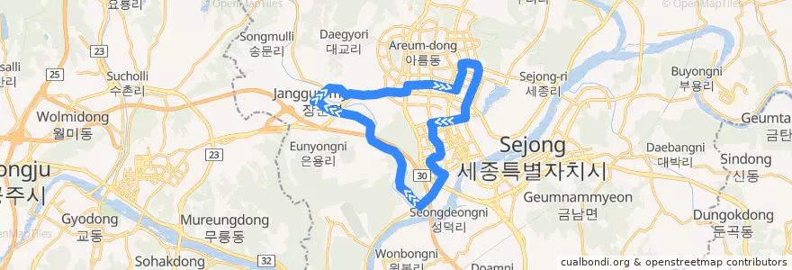Mapa del recorrido 세종 시내버스 53 de la línea  en 세종.