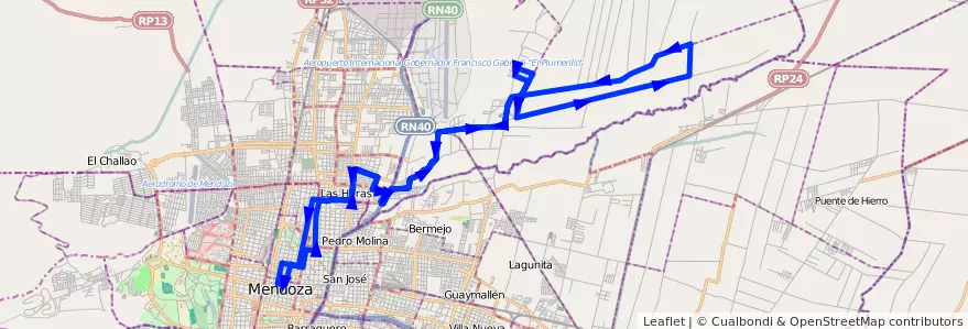 Mapa del recorrido 133 - Victoria - Centro por Calle Zapata - Algarrobal Abajo de la línea G06 en Мендоса.