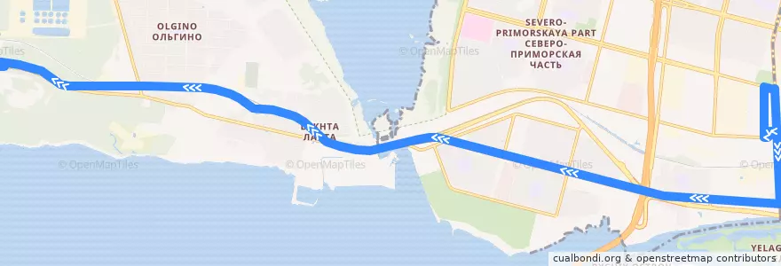 Mapa del recorrido Автобус № 110: станция метро «Старая Деревня» => мотель "Ольгино" de la línea  en Приморский район.