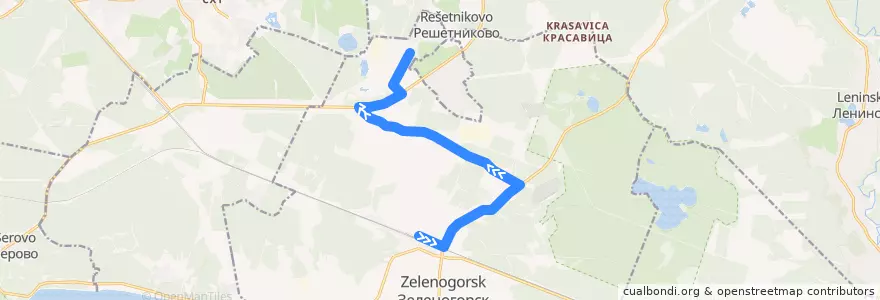 Mapa del recorrido Автобус № 321: Зеленогорск, вокзал => Решетниково de la línea  en Зеленогорск.