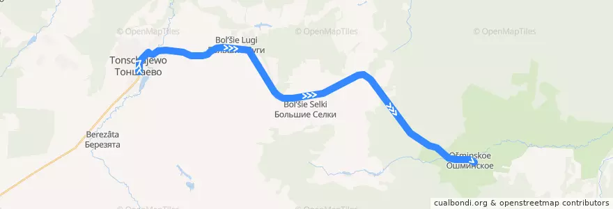Mapa del recorrido Автобус 113: Тоншаево => Ошминское de la línea  en Tonshayevsky District.