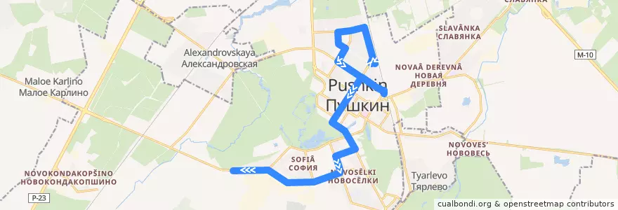 Mapa del recorrido Автобус № 376: Железнодорожная улица => Красносельское шоссе de la línea  en Puschkin.