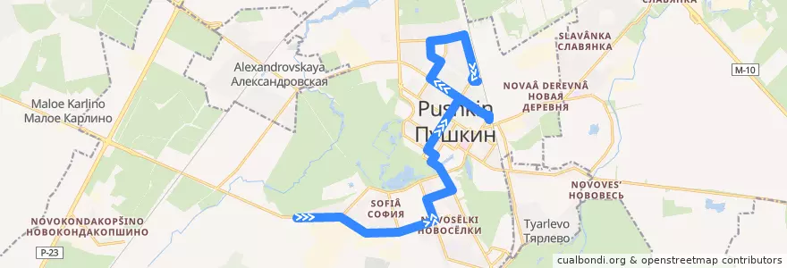 Mapa del recorrido Автобус № 376: Красносельское шоссе => Железнодорожная улица de la línea  en Пушкин.