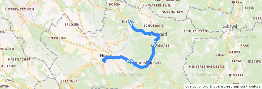 Mapa del recorrido Bus 875: Hinwil, Ringwil => Hinwil, Bahnhof de la línea  en Hinwil.