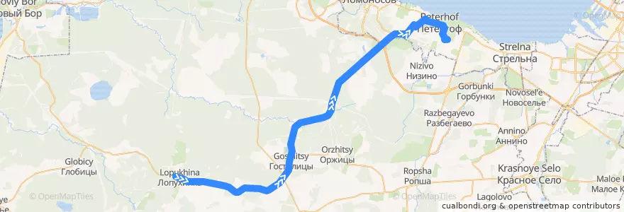 Mapa del recorrido Автобус № 463А: Лопухинка => ж/д станция Новый Петергоф de la línea  en Oblast de Léningrad.