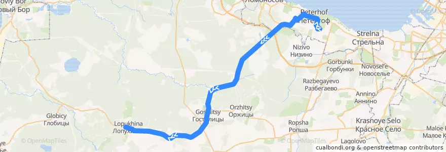 Mapa del recorrido Автобус № 463А: ж/д станция Новый Петергоф => Лопухинка de la línea  en 列宁格勒州.