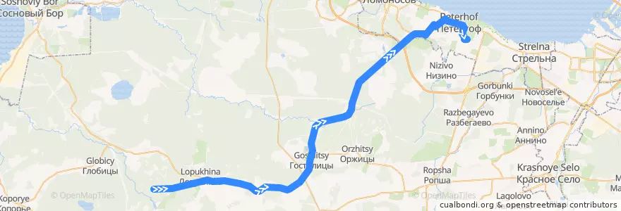 Mapa del recorrido Автобус № 463: 5-й километр => ж/д станция Новый Петергоф de la línea  en Ленинградская область.