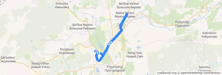Mapa del recorrido Автобус № 107: Гатчина, ТРК "Пилот" => Малое Верево de la línea  en Гатчинский район.