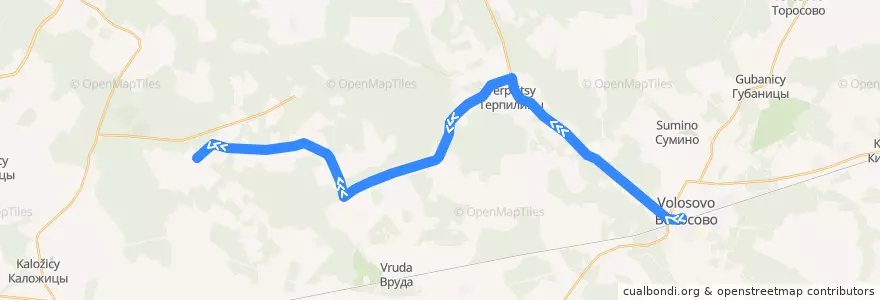 Mapa del recorrido Автобус № 45: Волосово => Княжево de la línea  en Volosovsky District.