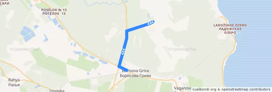 Mapa del recorrido Автобус № 606: Грибное => ж/д станция Борисова грива de la línea  en Рахьинское городское поселение.