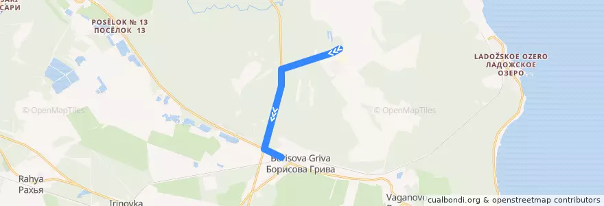 Mapa del recorrido Автобус № 606: ж/д станция Борисова грива => Грибное de la línea  en Рахьинское городское поселение.