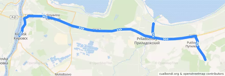 Mapa del recorrido Автобус № 589: Кировск => Назия => Валовщина de la línea  en Кировский район.