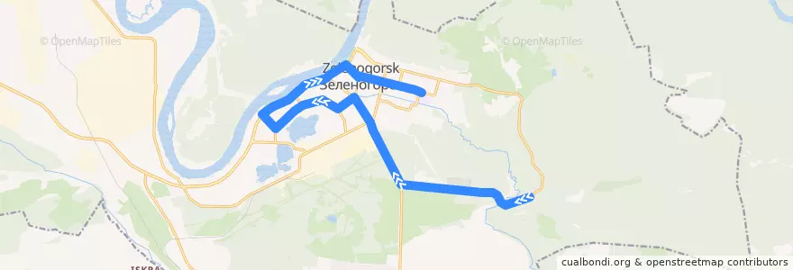 Mapa del recorrido Автобус №20: Бухало-ДС-17 de la línea  en ЗАТО Зеленогорск.