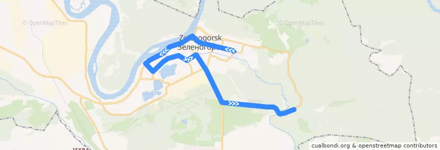 Mapa del recorrido Автобус №20: ДС-17-Бухало de la línea  en ЗАТО Зеленогорск.