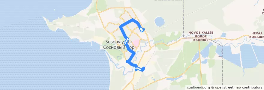 Mapa del recorrido Автобус № 5: АТП => ж/д станция Калище de la línea  en Сосновоборский городской округ.