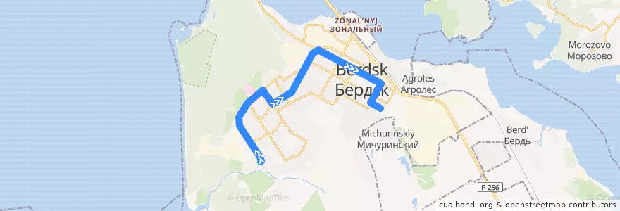 Mapa del recorrido Маршрутное такси 17: поселок Боровой – Медсанчасть №129 de la línea  en городской округ Бердск.