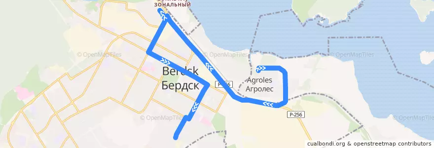 Mapa del recorrido Маршрутное такси 510: Агролес – Озерная de la línea  en Berdsk municipality.