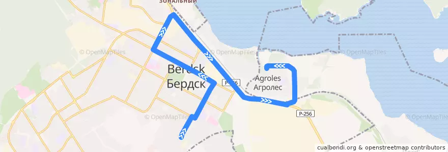 Mapa del recorrido Маршрутное такси 510: Озерная – Агролес de la línea  en городской округ Бердск.