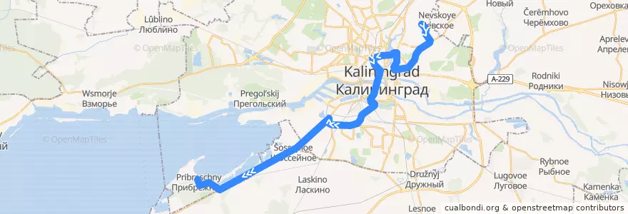Mapa del recorrido Автобус 19: Улица Артиллерийская — Посёлок Прибрежный de la línea  en Kaliningrad.