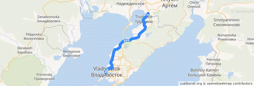Mapa del recorrido Автобус 114т: Железнодорожный вокзал - Металлобаза de la línea  en Владивостокский городской округ.