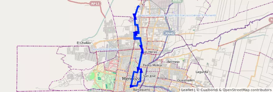 Mapa del recorrido 81 - Rawson por San Martín de la línea G04 en Mendoza.
