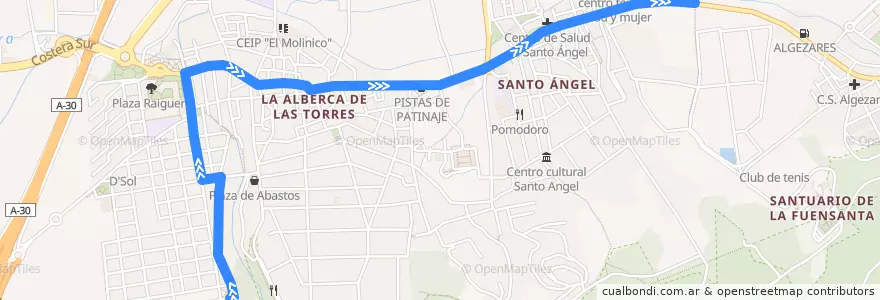 Mapa del recorrido BUS 29A: La Alberca → Patiño → Murcia de la línea  en Área Metropolitana de Murcia.