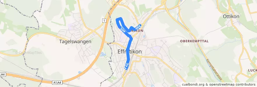 Mapa del recorrido Bus 655: Effretikon, Kapelle Rikon => Effretikon, Bahnhof de la línea  en Bezirk Pfäffikon.