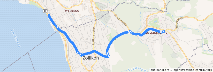 Mapa del recorrido Bus 910: Zollikerberg, Station → Zürich, Bahnhof Tiefenbrunnen de la línea  en チューリッヒ.