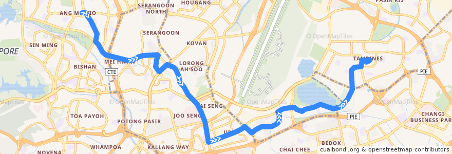 Mapa del recorrido Svc 22 (Ang Mo Kio Interchange => Tampines Interchange) de la línea  en 新加坡.