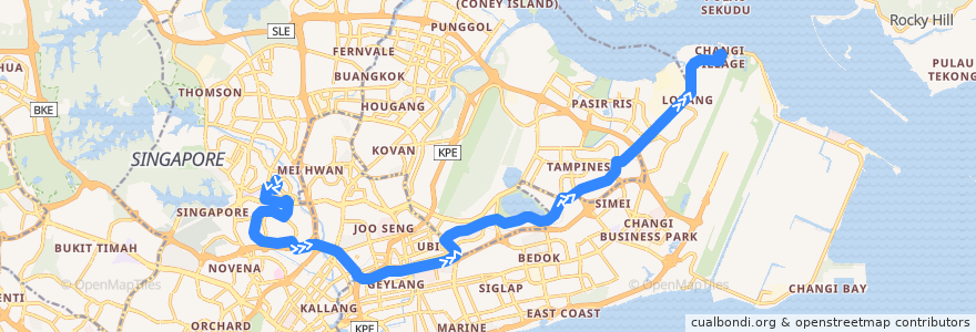 Mapa del recorrido Svc 59 (Bishan Interchange => Changi Village Terminal) de la línea  en سنگاپور.