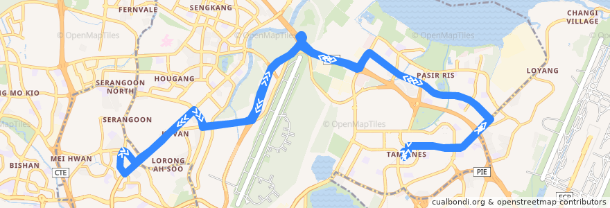 Mapa del recorrido Svc 81 (Tampines Interchange => Tampines Interchange) de la línea  en Northeast.