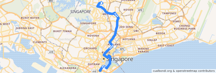 Mapa del recorrido Svc 133 (Ang Mo Kio Interchange => Shenton Way Terminal) de la línea  en Singapour.