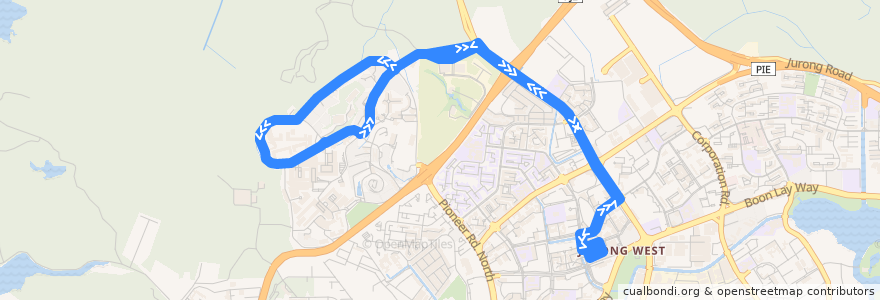 Mapa del recorrido Svc 199 (Boon Lay Interchange => Boon Lay Interchange) de la línea  en Southwest.